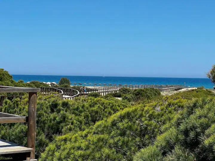 Casa Canarias En Alicante, Playa Y Piscina Гран-Алакант Екстер'єр фото